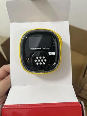 Best price BW Solo Single-Gas Detector  O2 H2 NH3